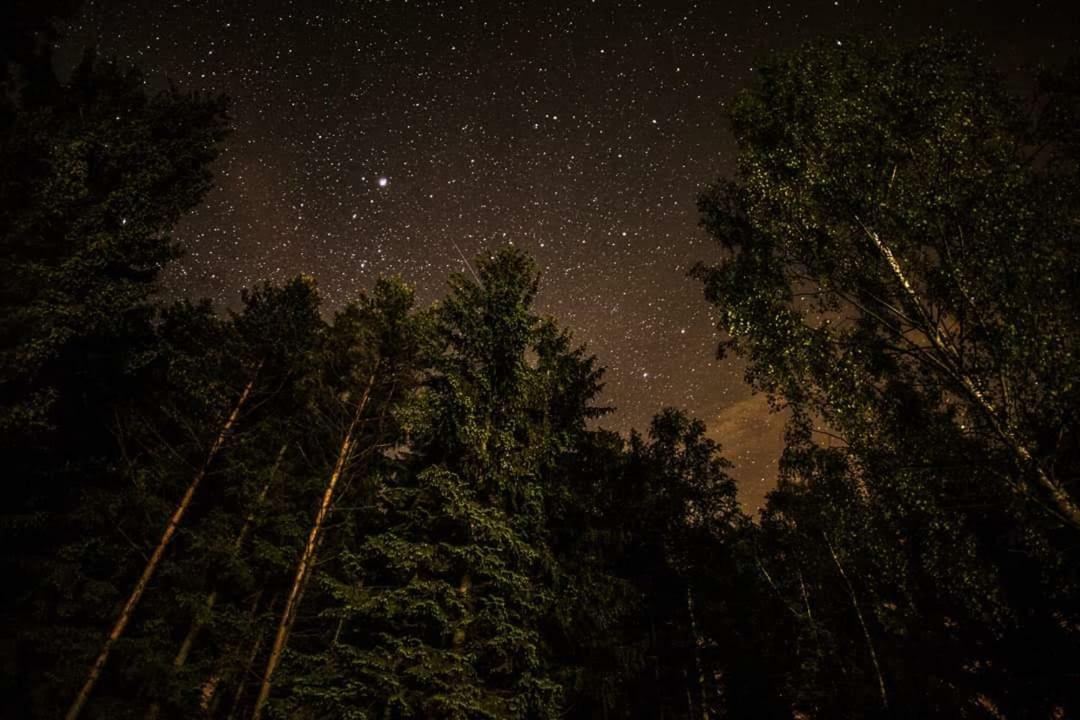 Lesní chaty Hogo Fogo Kytlice Zewnętrze zdjęcie